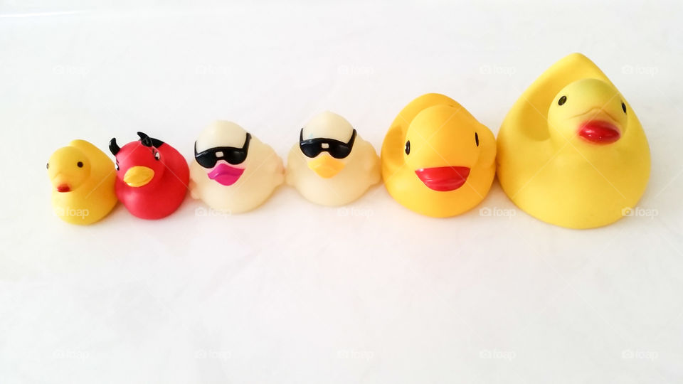 fun toy ducky lineup