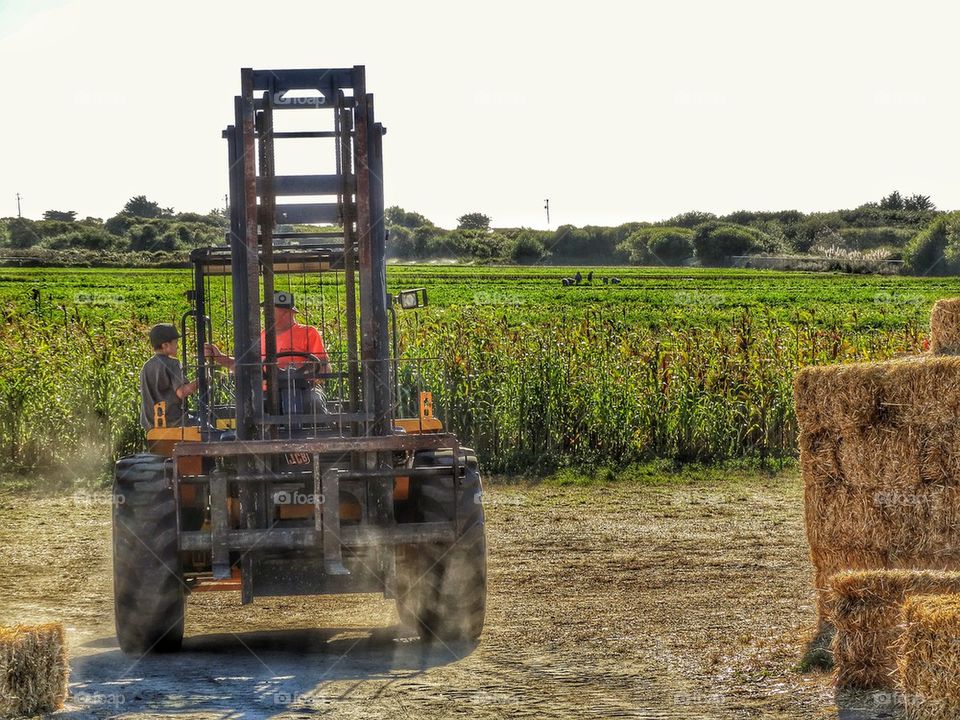 Father and son on the farm