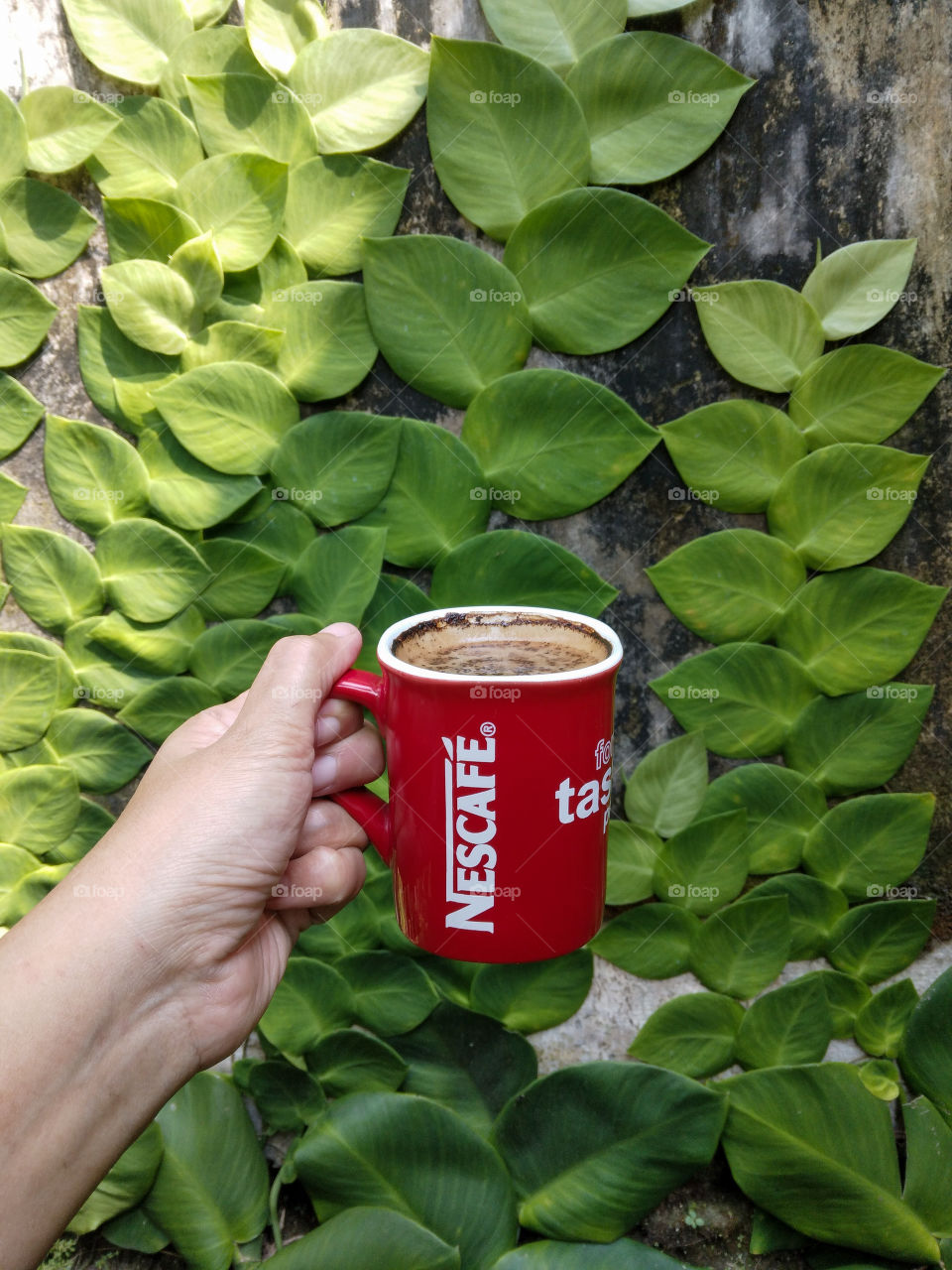 my favorite coffee mug