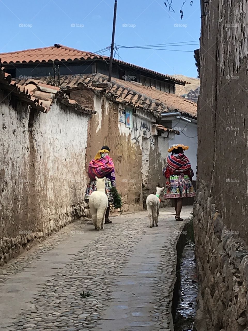 Ladies and their llamas go for a stroll and the gorgeous backstreets of Cusco, Peru.