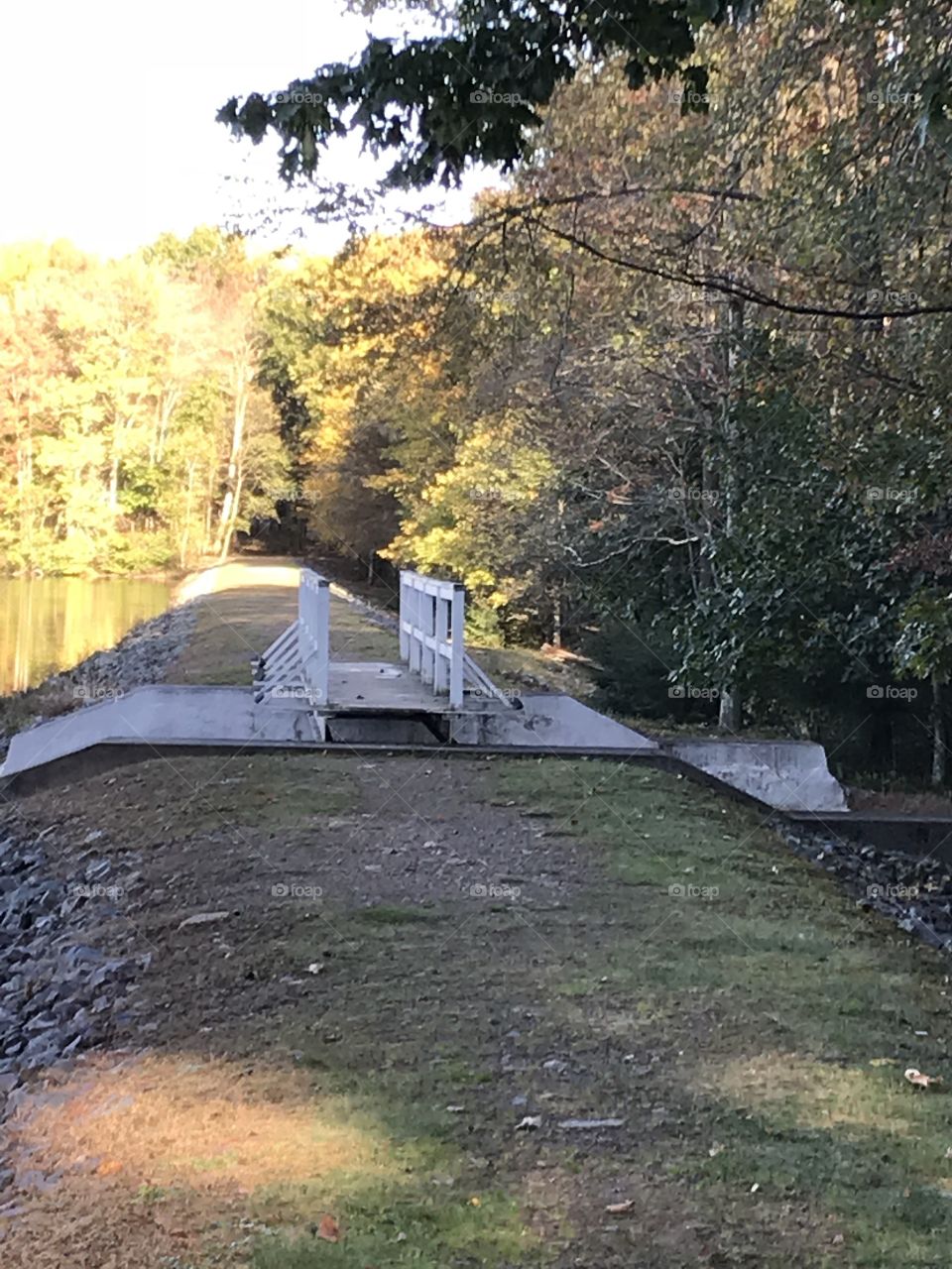 Fall scenery, wooden bridge over creek 