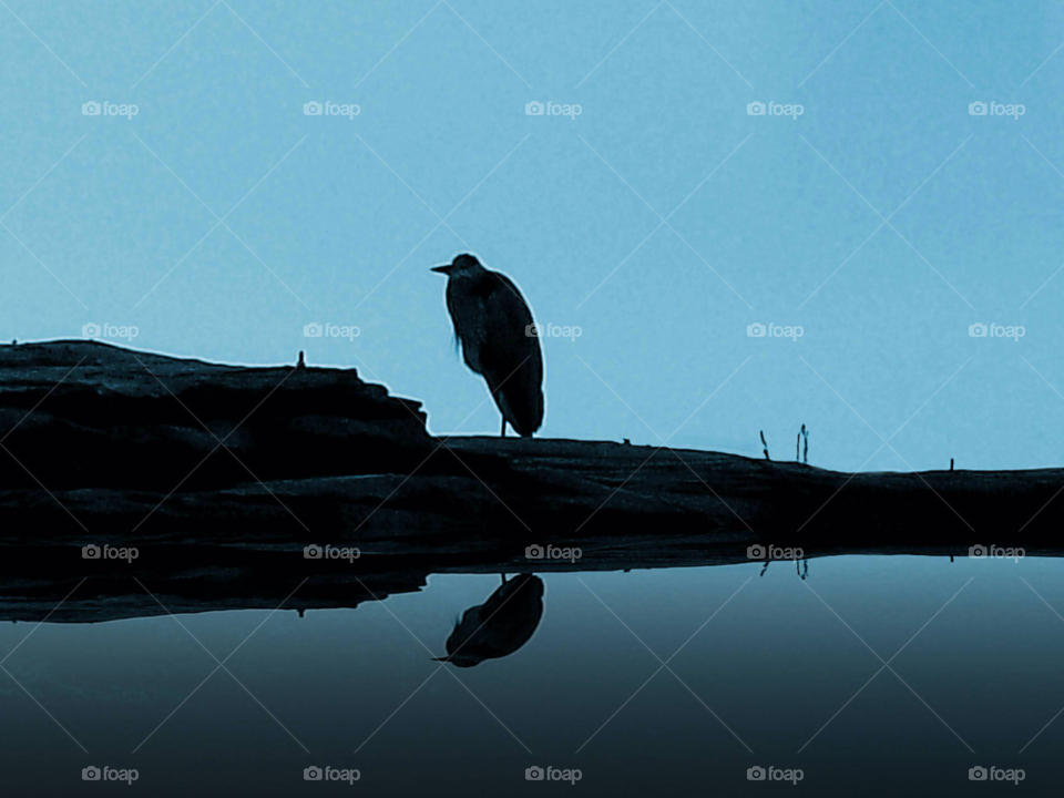 sky blue alone water by joannieofarc