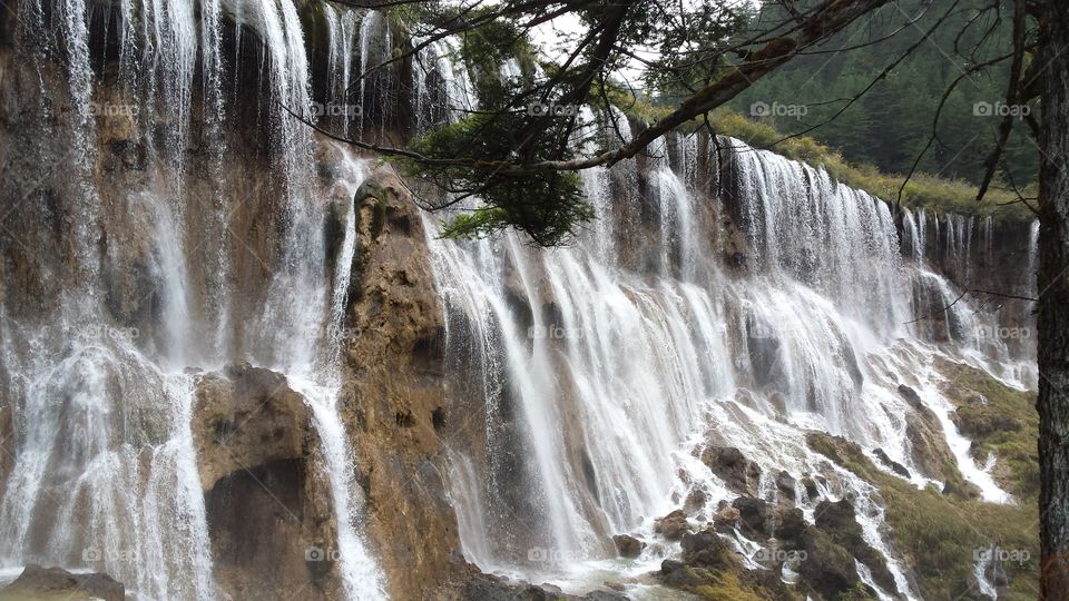 waterfall in the forest