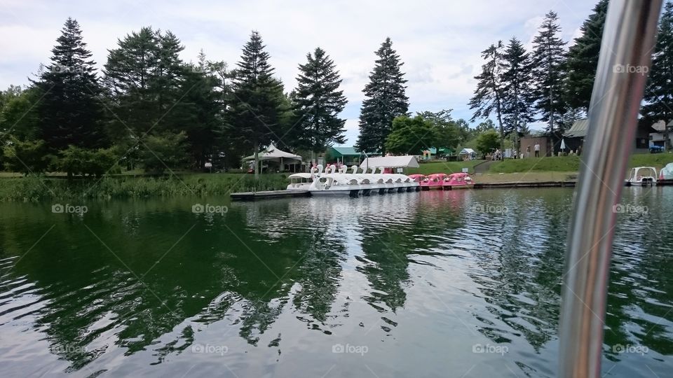 Scenic view of a lake in park