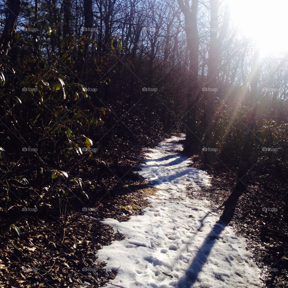 Snowy hike through the woods