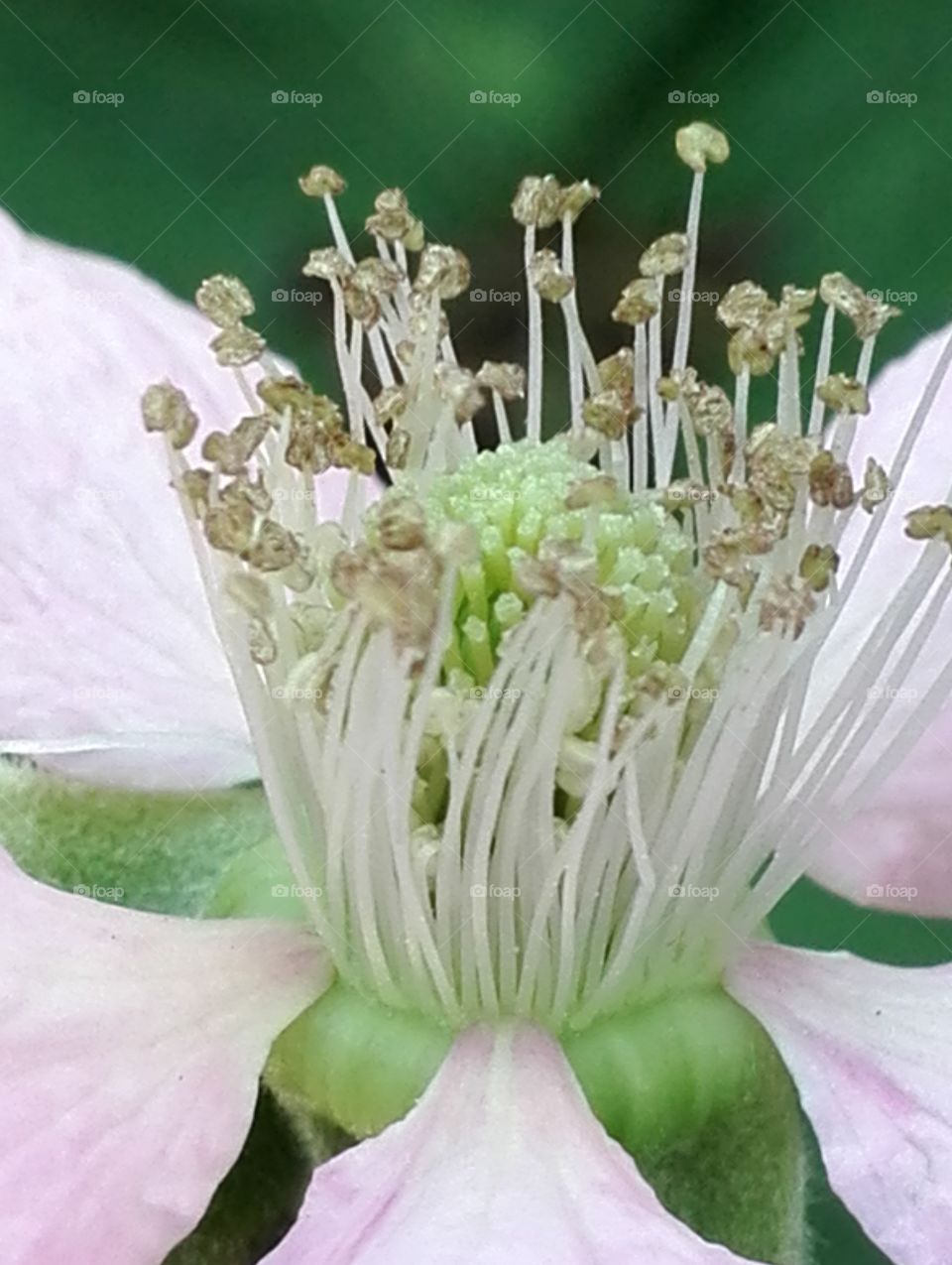 Angels are in the details