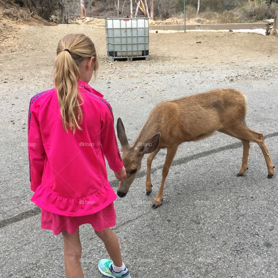 Deer meets girl