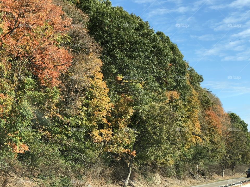Fall foliage along the highway in Grafton, Illinois, USA