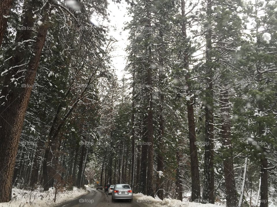 road to Yosemite Valley  in winter