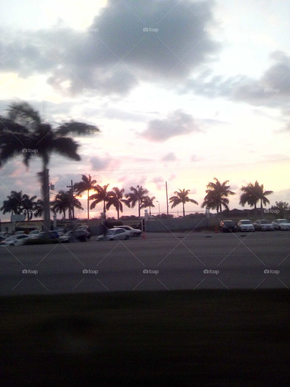 this is a one of kind picture you will never see again in your life time this picture was taken in mantobay Jamaica