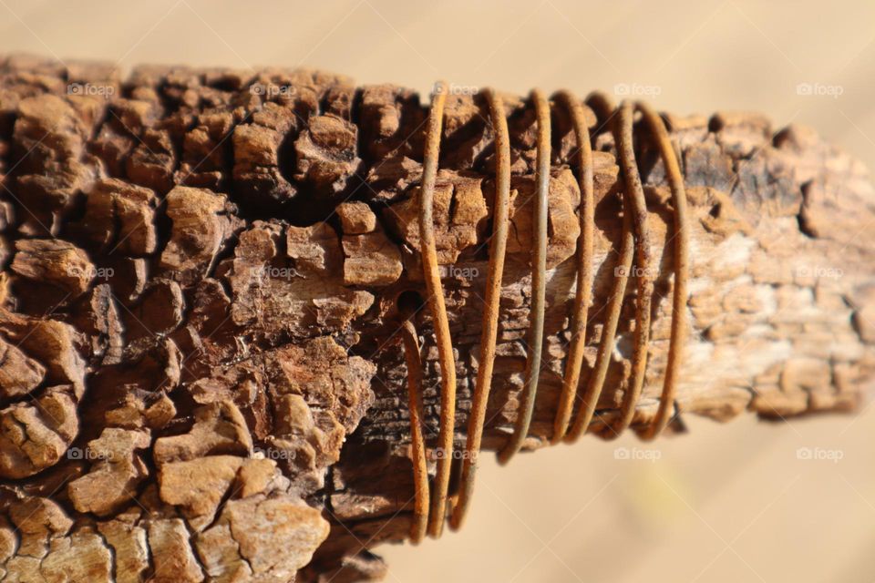 Drift wood with rusty metal wire