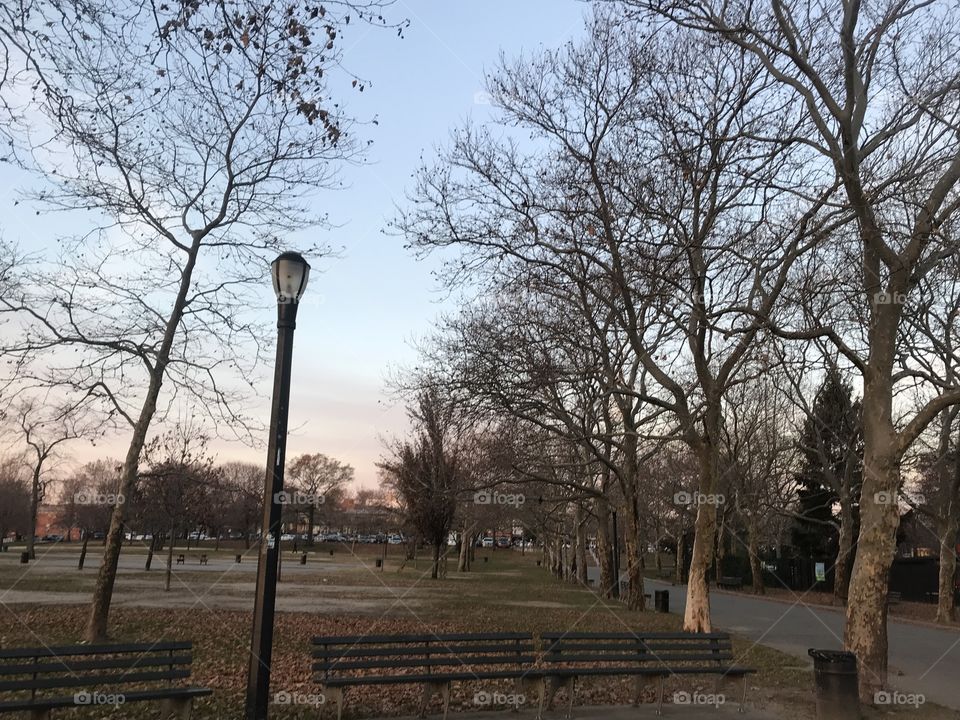 The park 