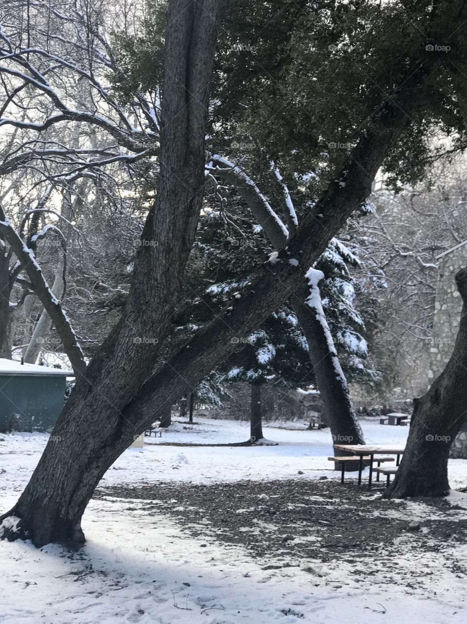Snow at the park