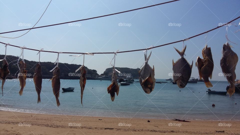 Dried Salted Fish