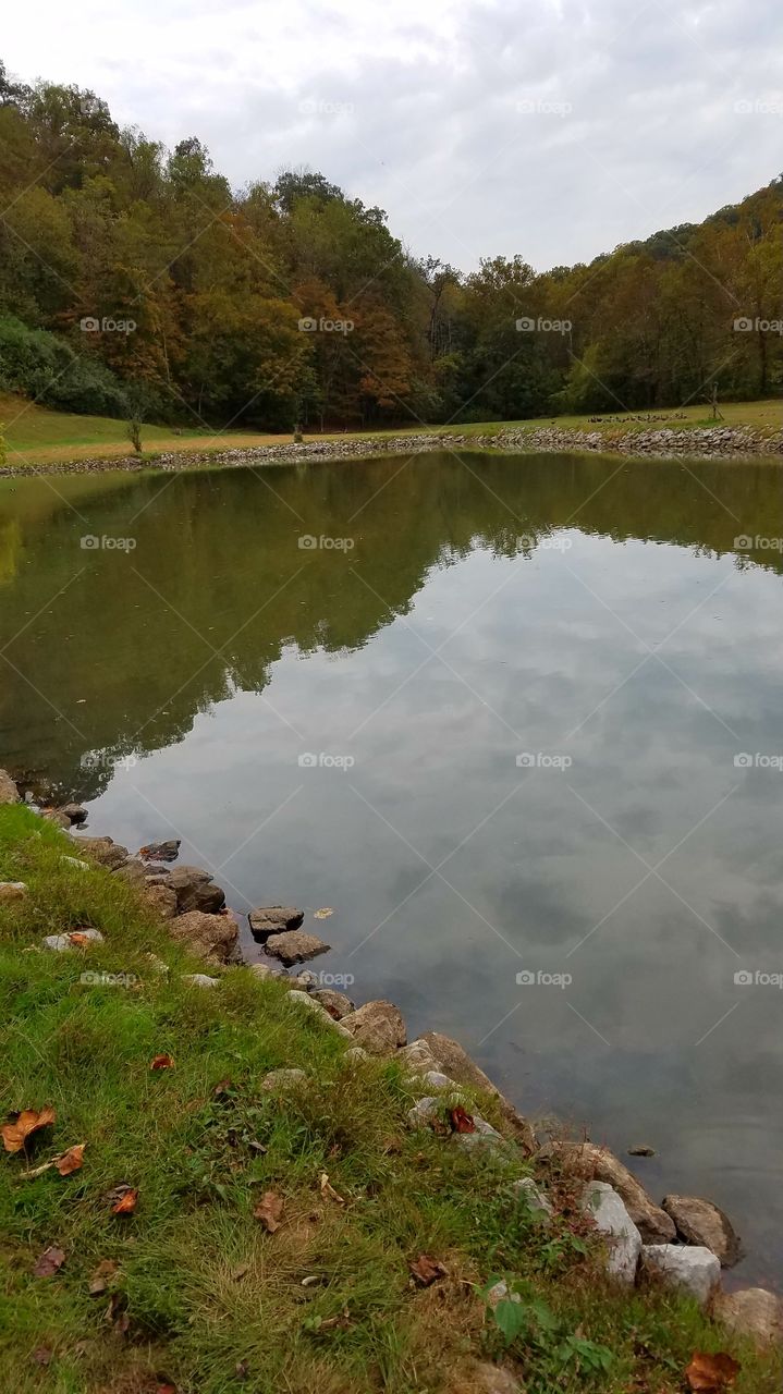 local fishing pond