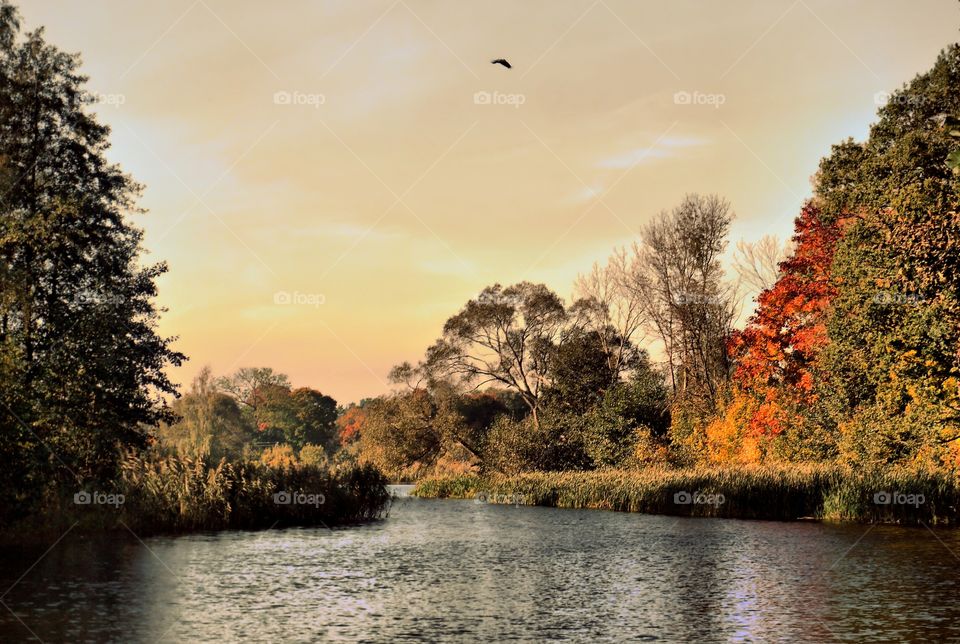 autumn landscape