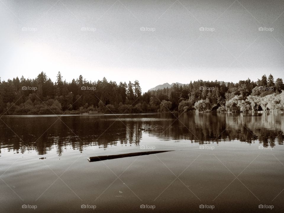 Canadian lake sunset, complete with log 