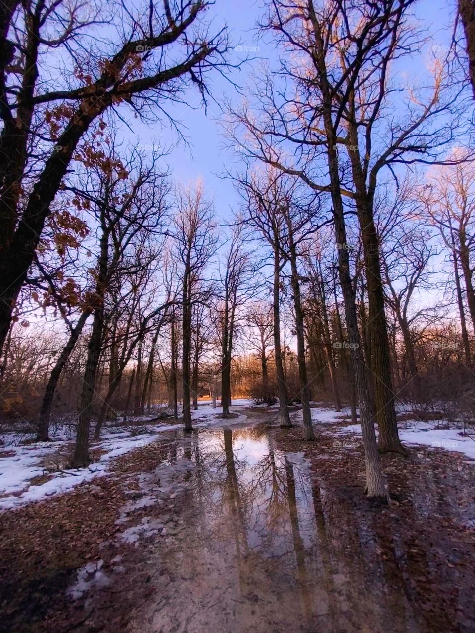 Peaceful evening in springtime 