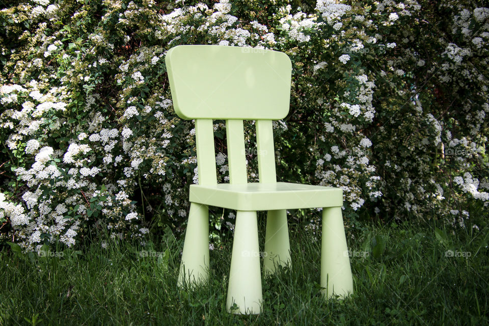 Favourite green chair