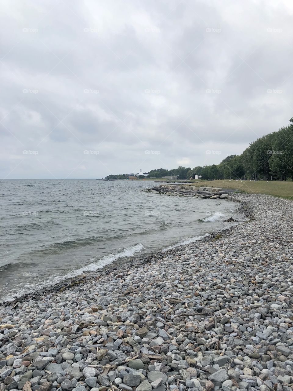 Rock, water and trees form the core part of earth 
