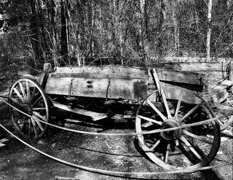 Old horse-drawn wagon