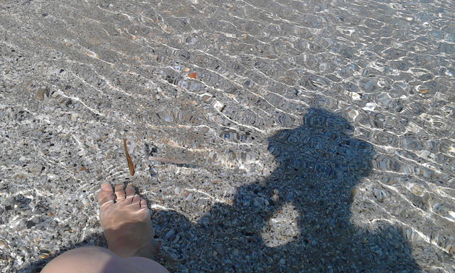 shadow