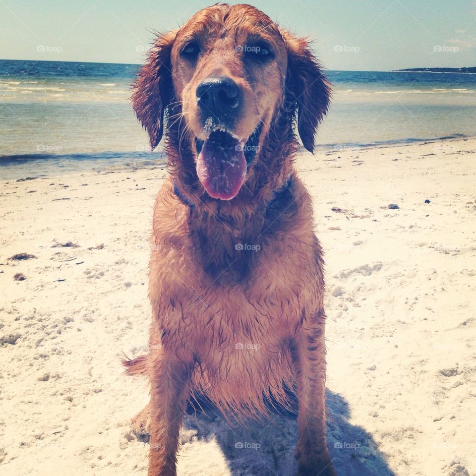 Sandy hair don't care 