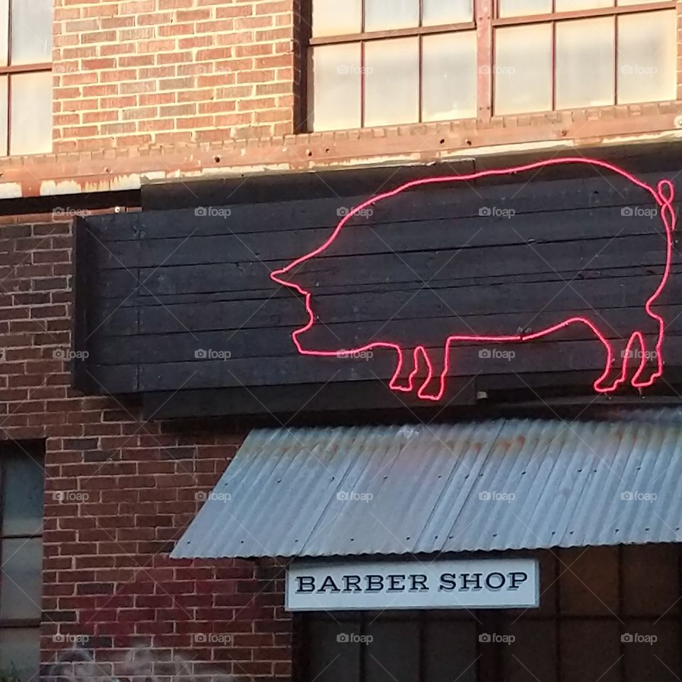 pig barber