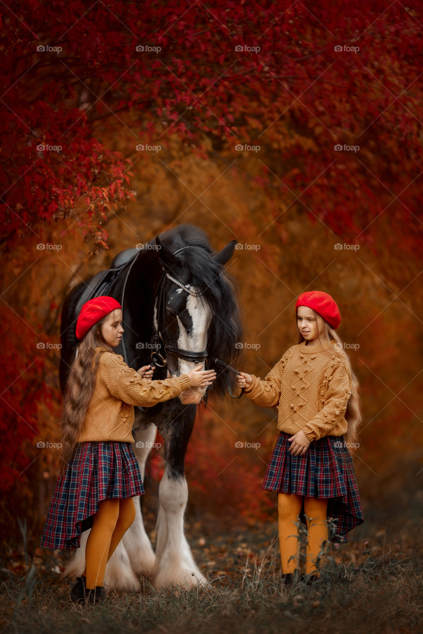 Twins girls with black claydasdale stallion 