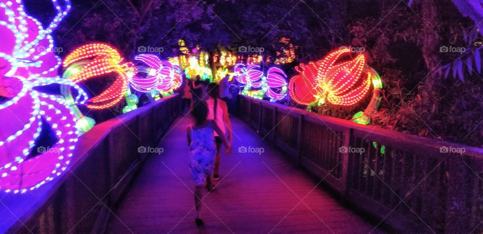 ILLUMINATION of Lights