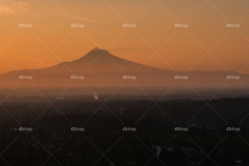 Mornings in Portland 