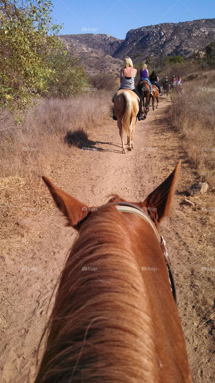 On The Trail