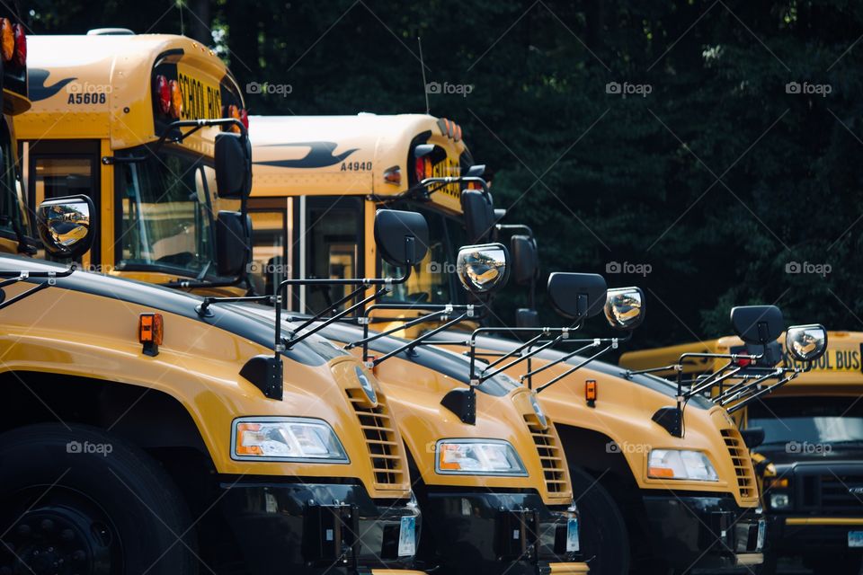 School buses lined up