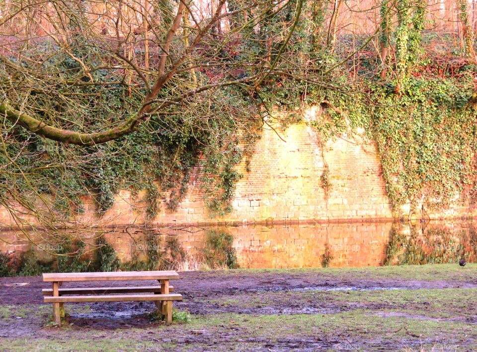 park reflection