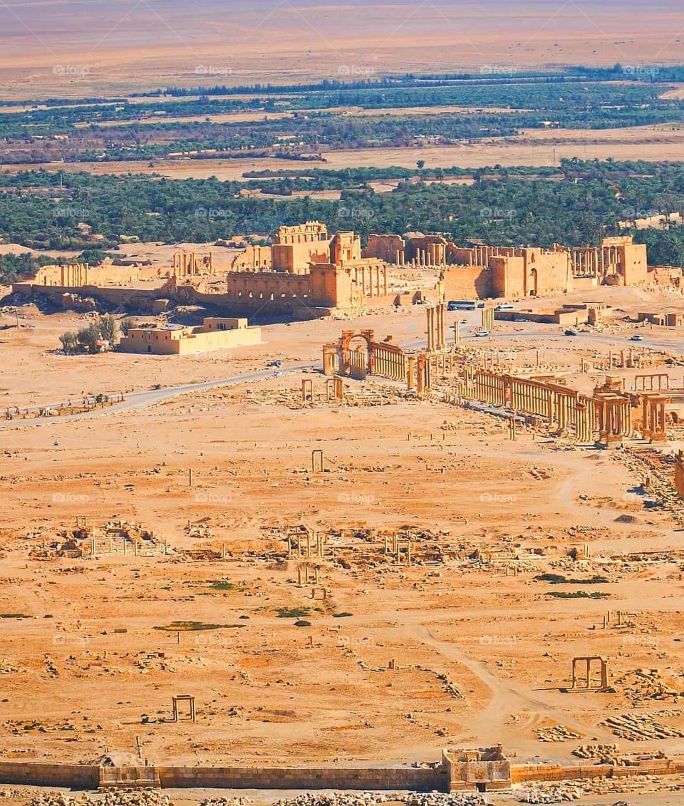 Palmyra