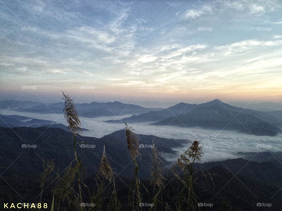 mist on Mountain