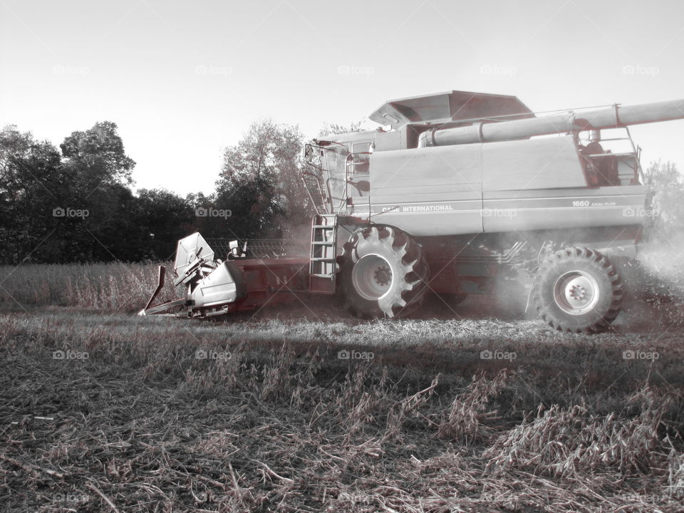 Combining Soybeans