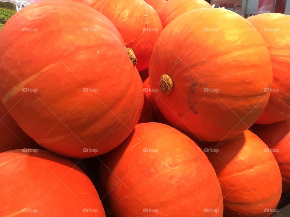 Fresh organic pumpkins are all you need