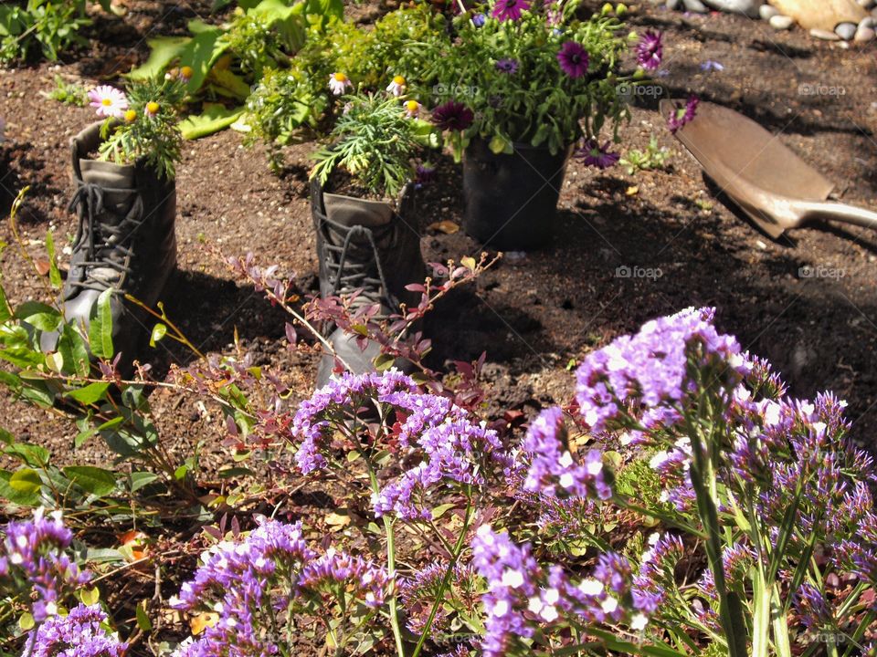 Drought Tolerant Landscaping
