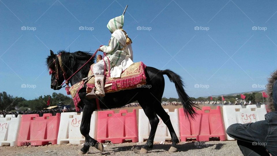  A knight riding a horse in a racing dress