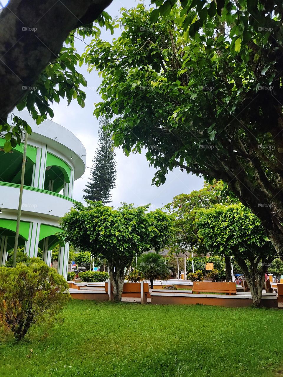 Plaza sin gente 🌳