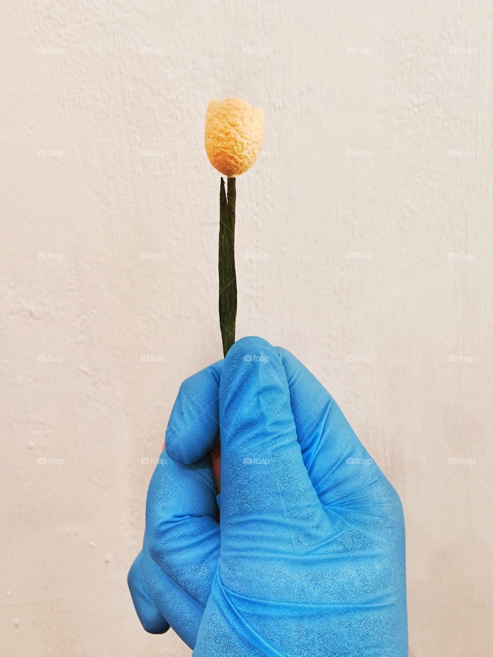 Hand with blue glove giving an artificial flower