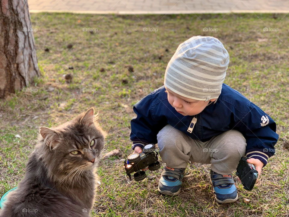 Little boy with cute fluffy cat outdoors