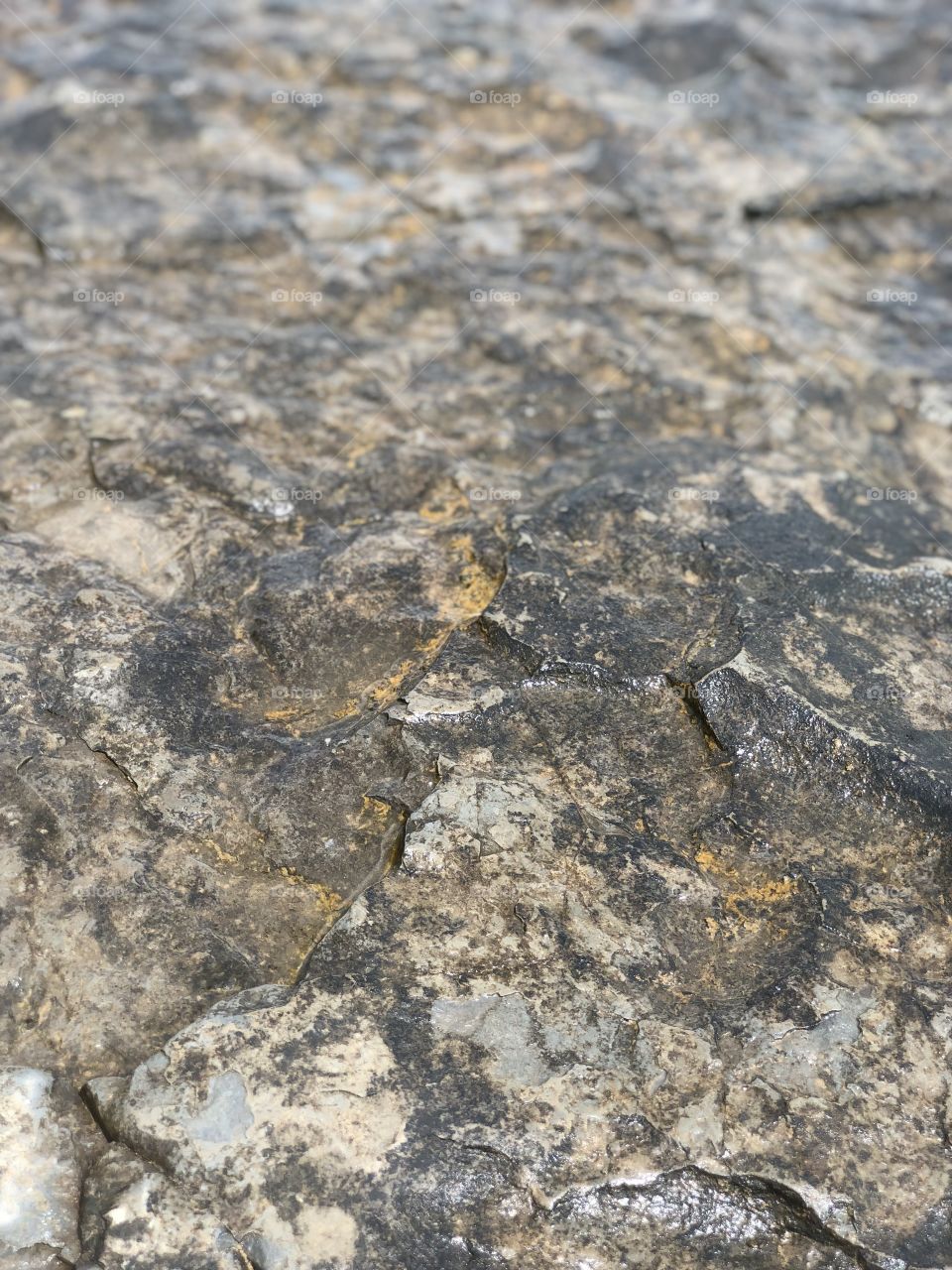 Rock Texture 
