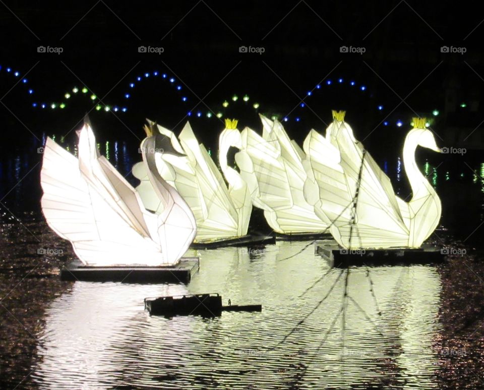 Swan lanterns on the lake at tivoli