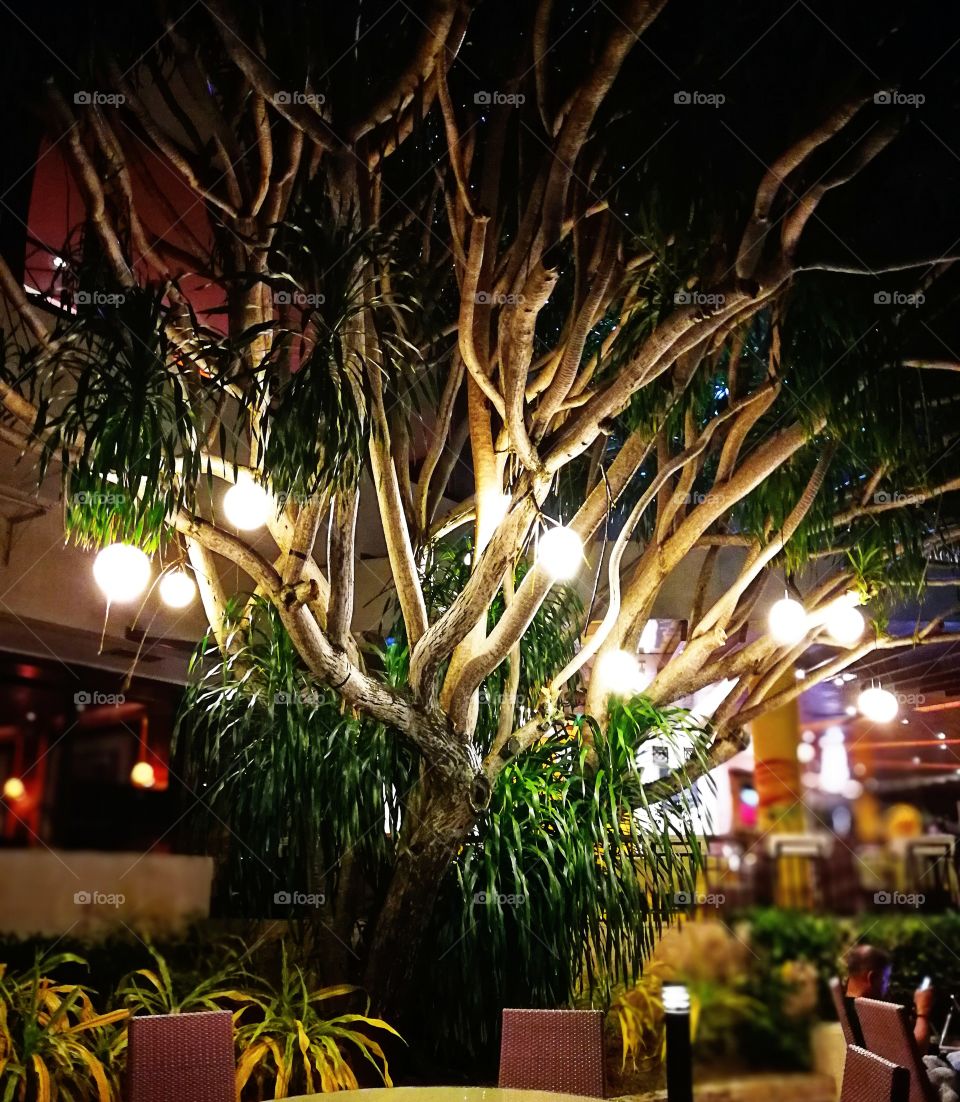 Knowledge Creativity Strategy Advocacy