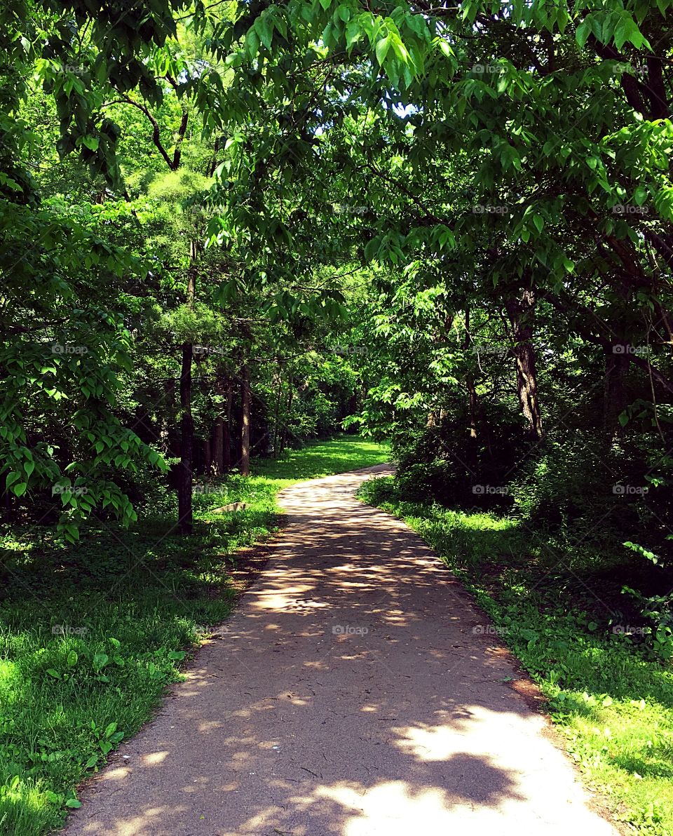 Shaded path to who knows where
