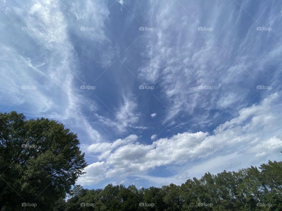 A beautiful day to take a picture of the sky 