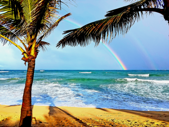 rainbow