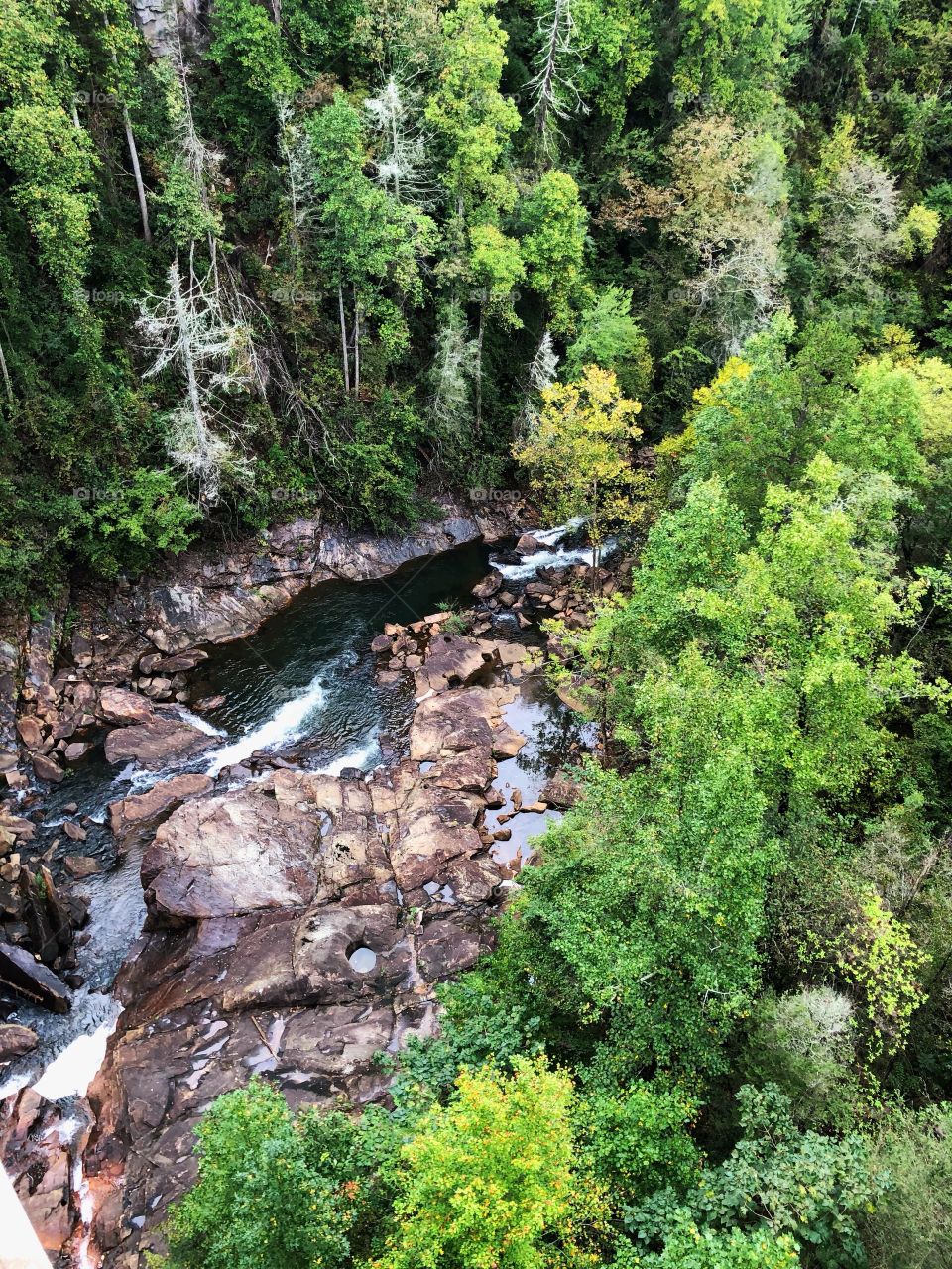 Flowing water in North Georgia 